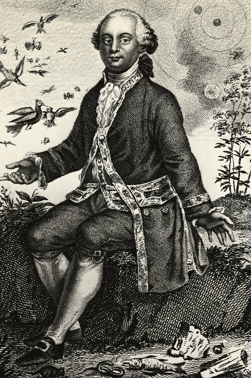 Portrett av Georges-Louis Leclerc de Buffon (1707-1788), fransk naturforsker og matematiker, gravering av J.B. and Brown J. Rowbotham
