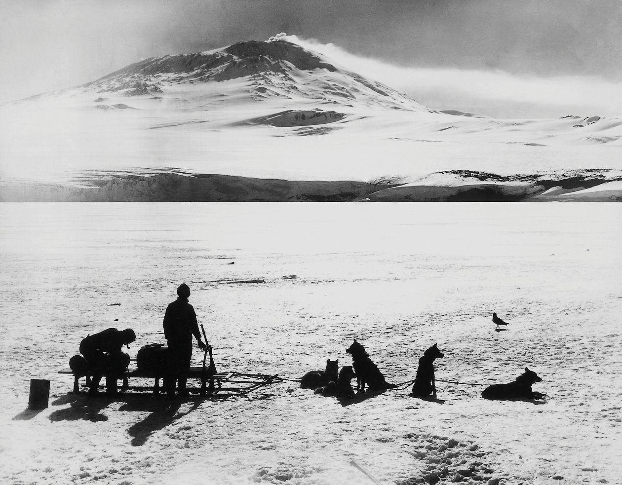 Sydpolekspedisjon av Robert Falcon Scott (1868-1912), oppdagelsesreisende før Erebus-vulkanen på Ross-øya, 15. januar av J.B. and Brown J. Rowbotham