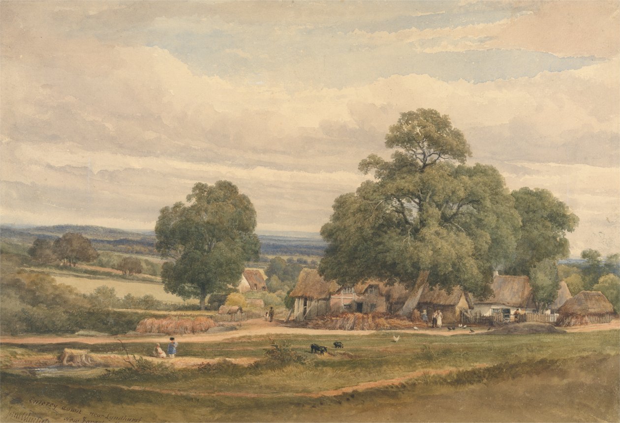 Emerey Down nær Lyndhurst, New Forest, Hants (akvarell og grafitt på papir) av C. John Mayle Whichelo