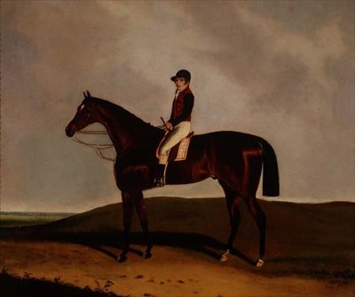 En Bay Racehorse av C. Markham