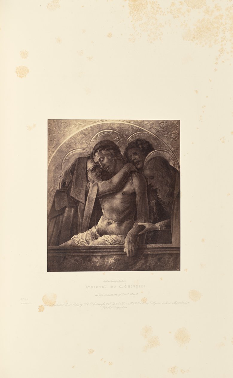  av Caldesi and Montecchi