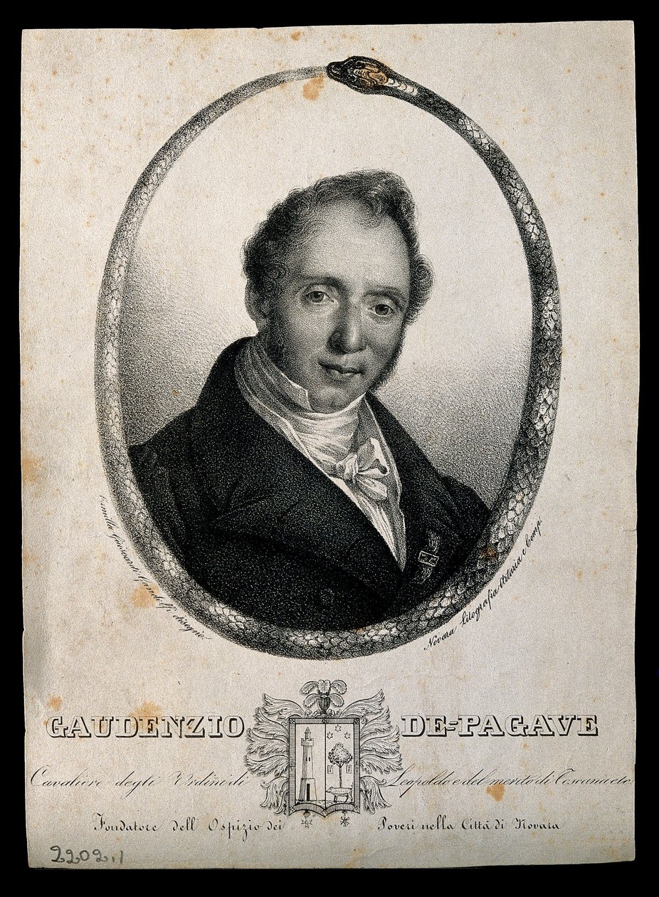  av Camilla Guiscardi