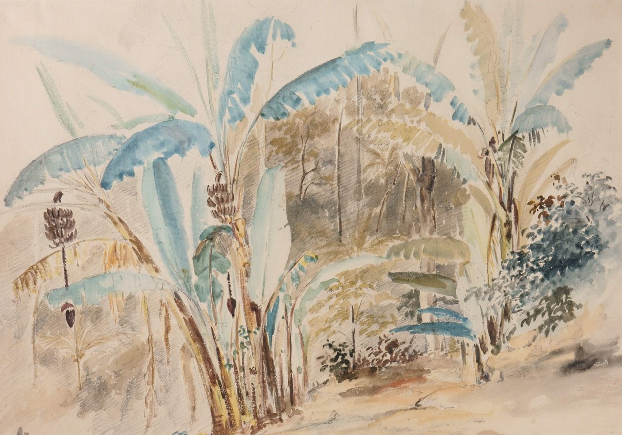 Banantrær av Camille Jacob Pissarro