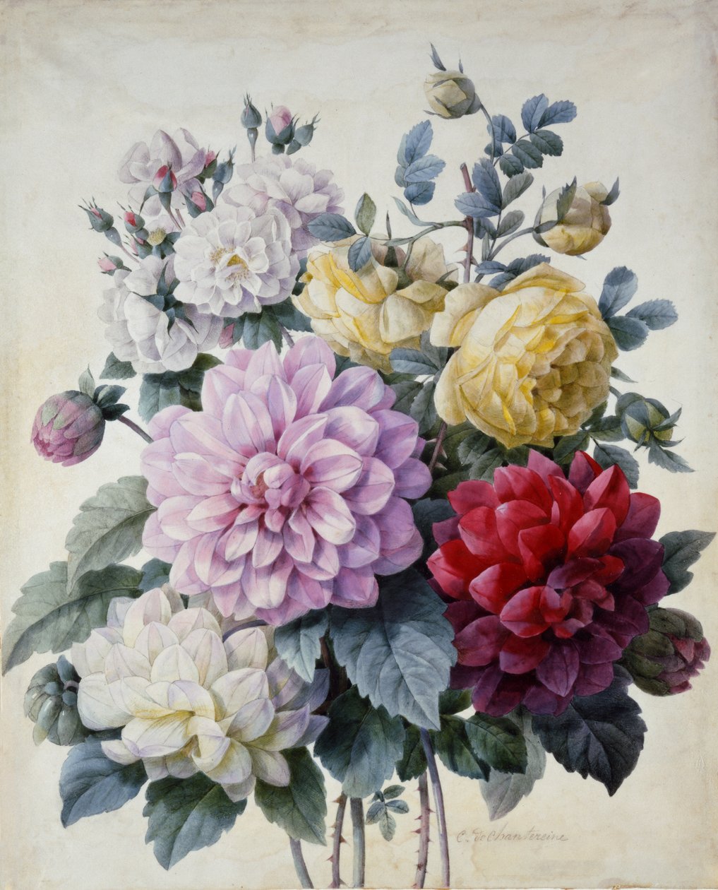 Bukett of Flowers, Dahlias and Roses, publisert ca. 1830-40 (stippgravering håndfarget) av Camille de Chantereine