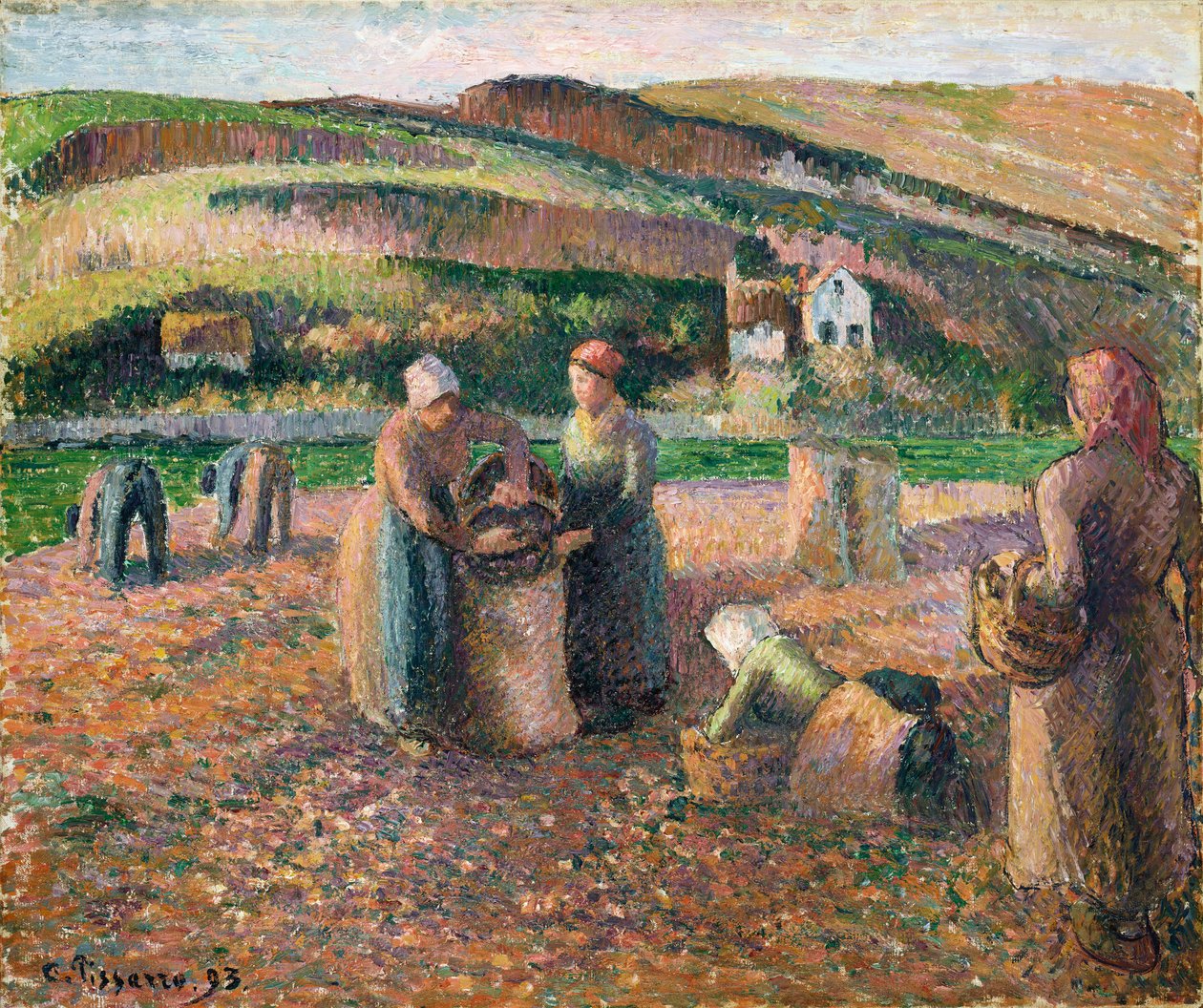 Potetplukking, 1893 av Camille Jacob Pissarro