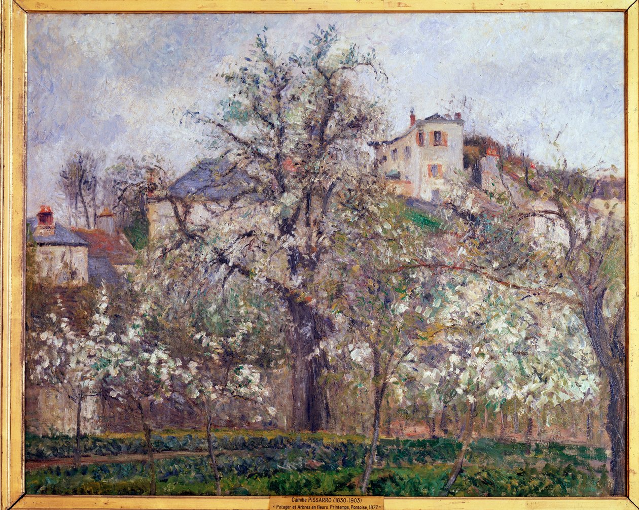 Vår, plommeblomstrer i Pontoise - olje på lerret av Camille Jacob Pissarro