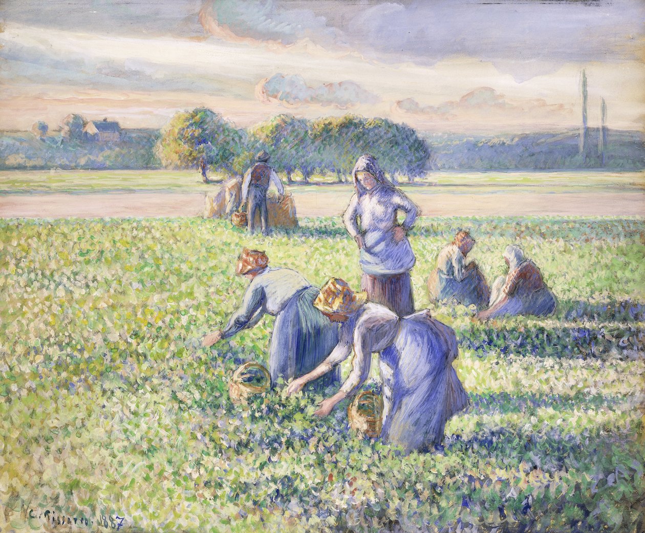 Høsten av erter, 1887 av Camille Jacob Pissarro
