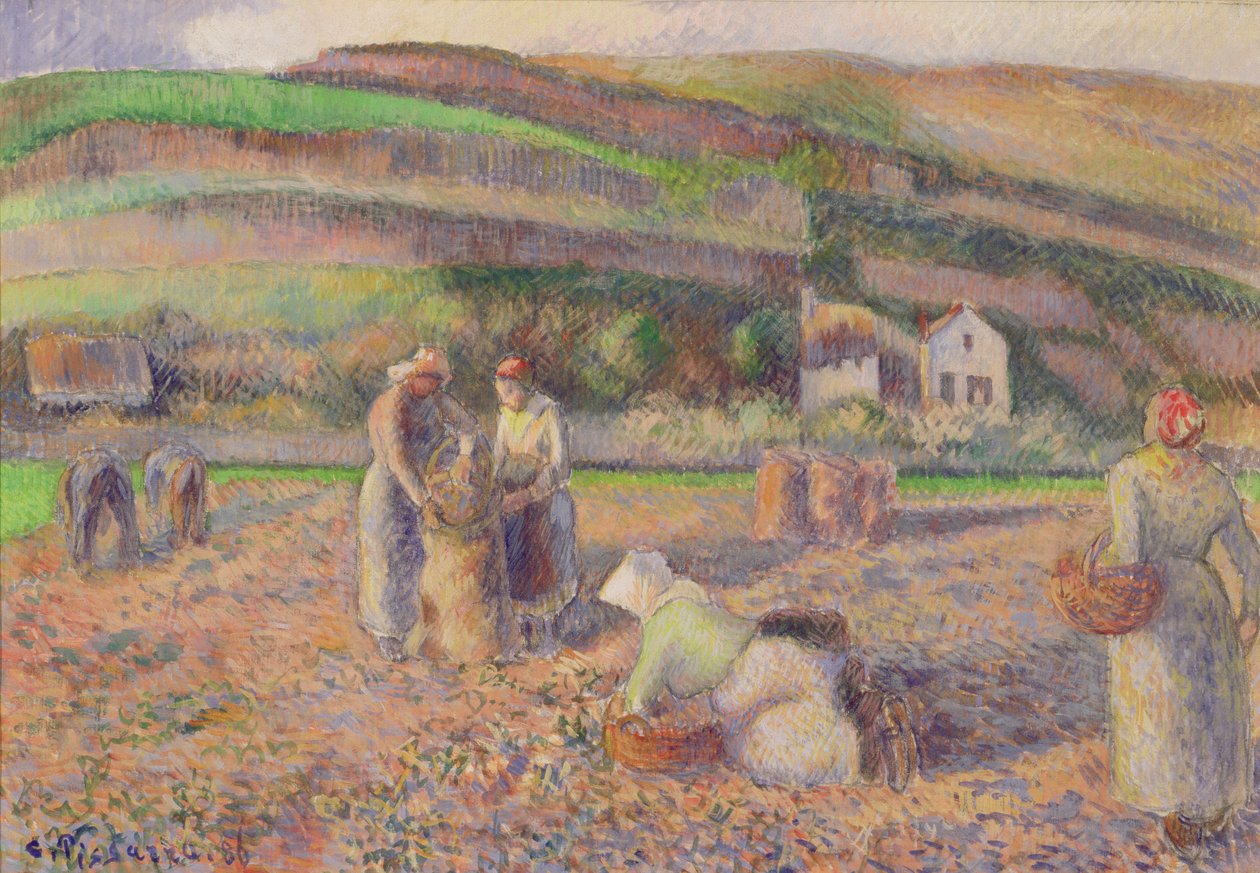 Potethøsten, 1886 av Camille Jacob Pissarro