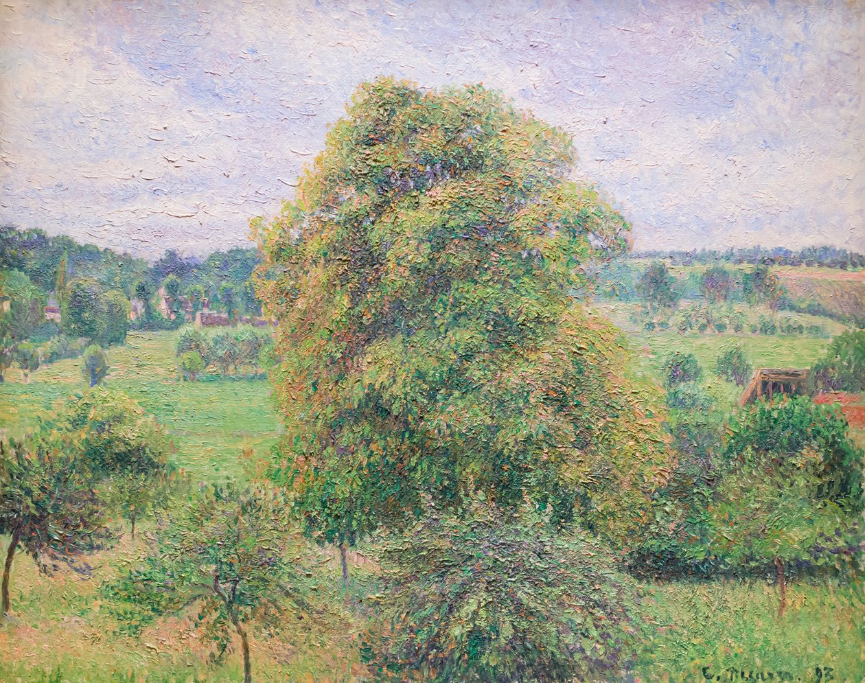 Stort valnøtttre på Eragny av Camille Pissarro