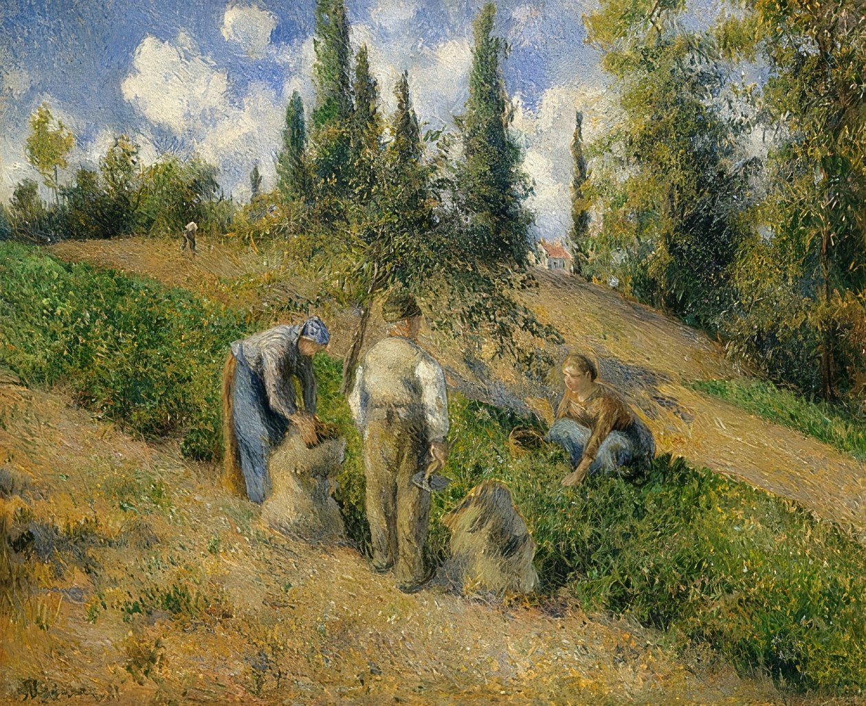 Die Ernte, Pontoise. / The Harvest, Pontoise. 1881 av Camille Jacob Pissarro