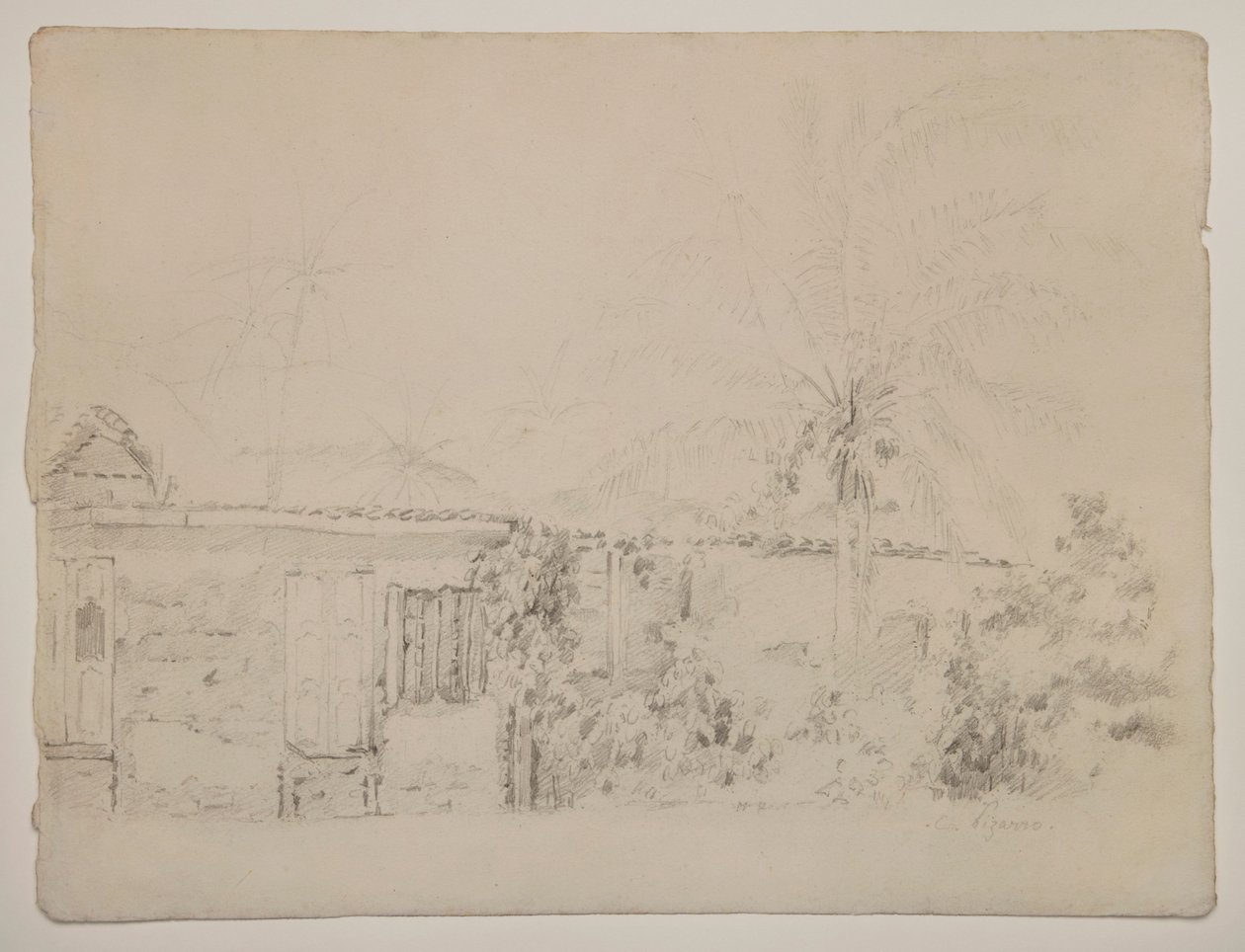 Hus og palmer av Camille Pissarro