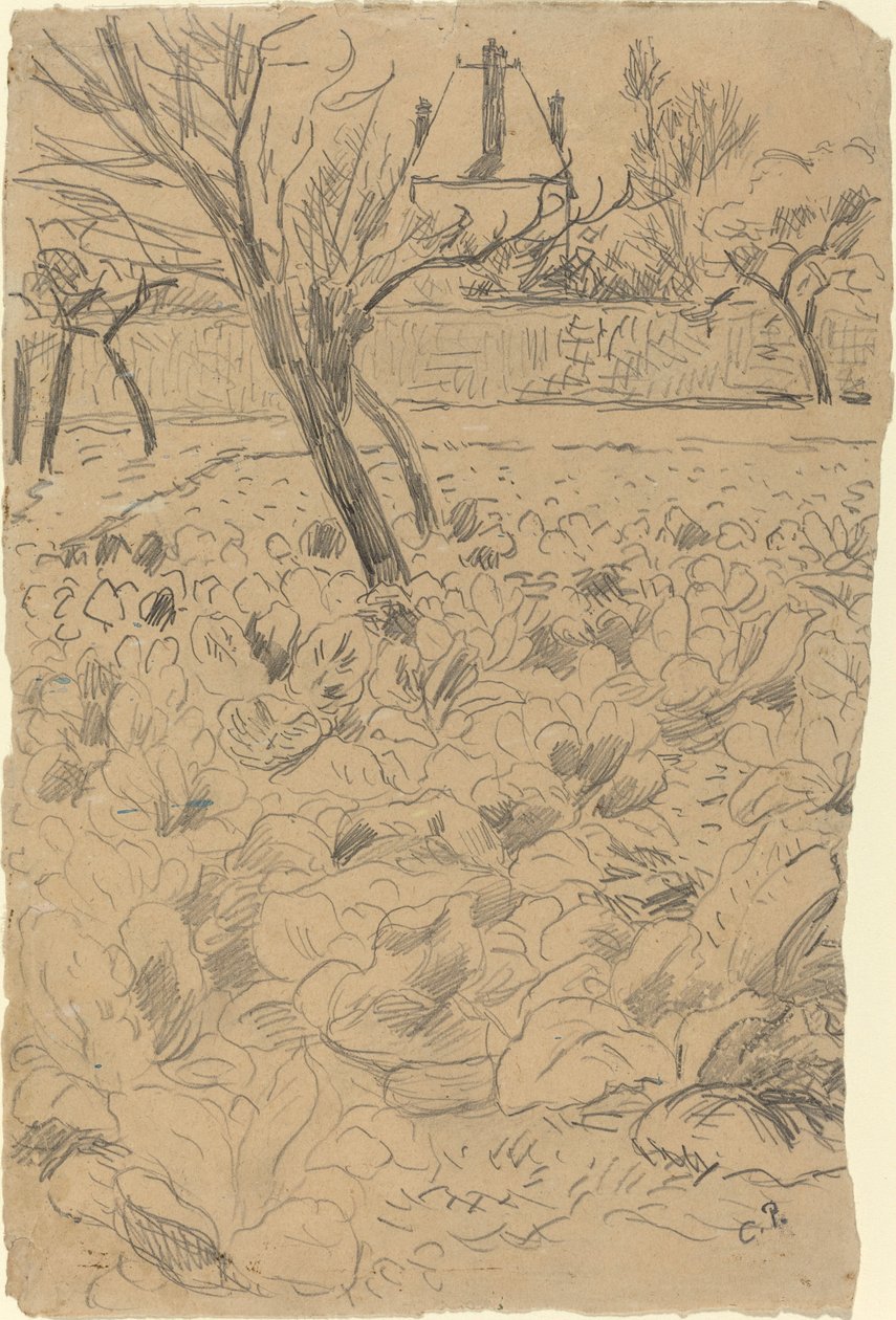 Kålåkeren av Camille Pissarro