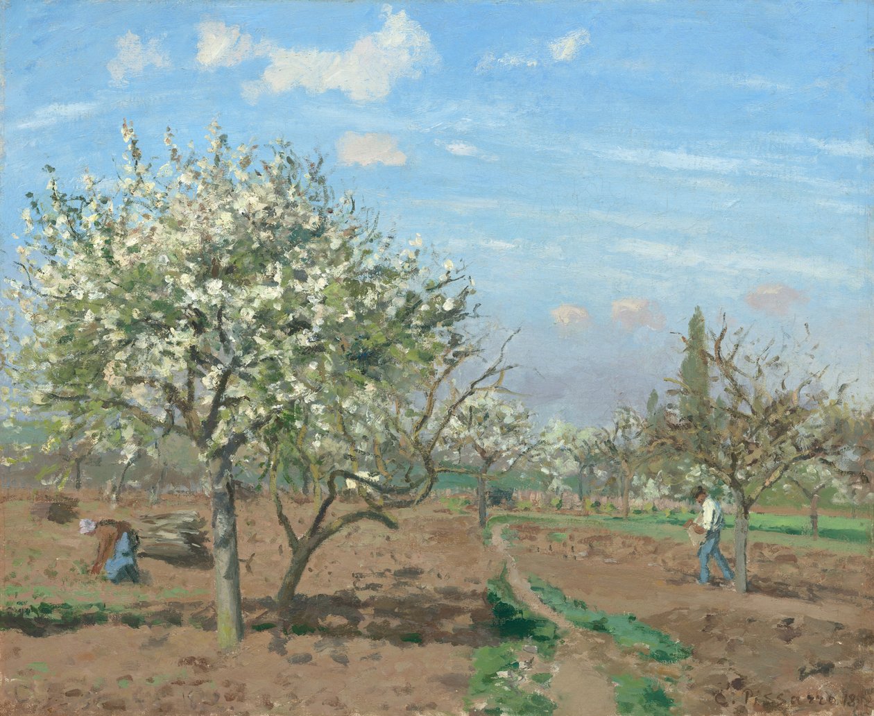 Frukthage i Bloom, Louveciennes av Camille Pissarro