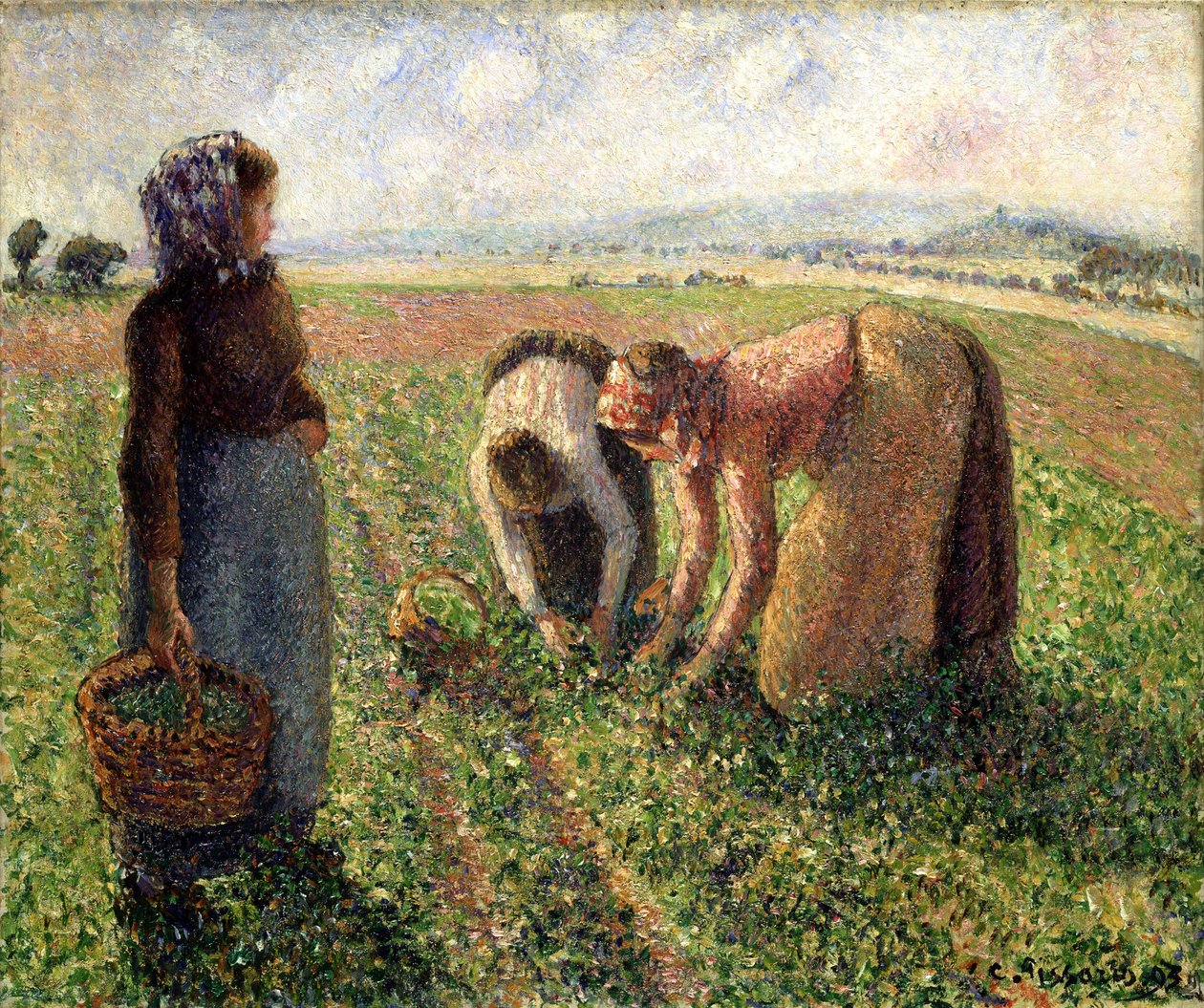 Ertehøst, Eragny, 1893. av Camille Jacob Pissarro