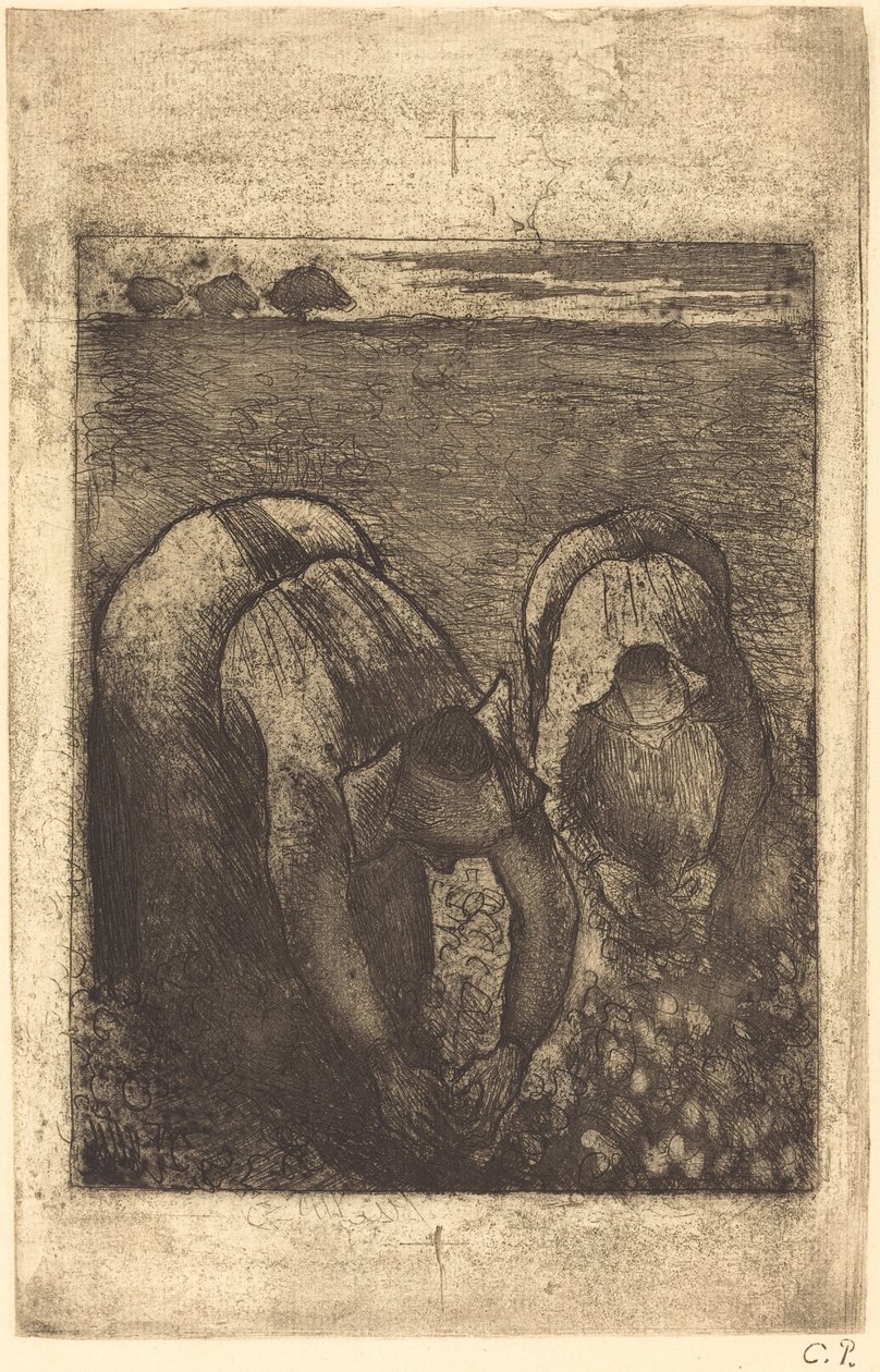 Bønder på et bønnerfelt Bønder på et bønnerfelt, 1891. av Camille Pissarro