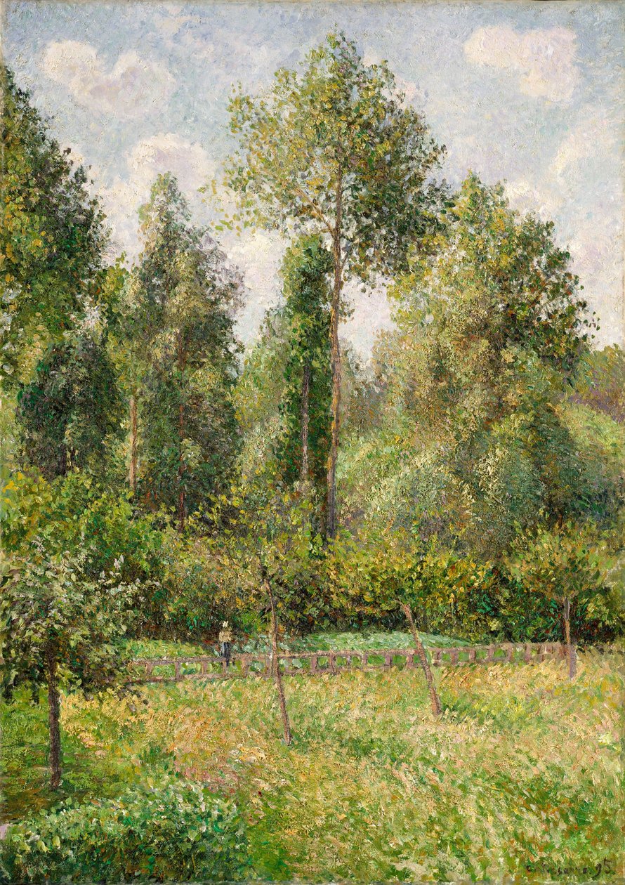 Popler, Éragny av Camille Jacob Pissarro
