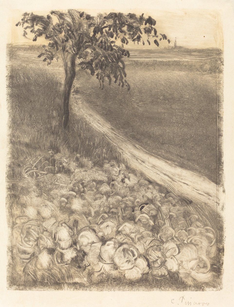 Veien ved et kålfelt av Camille Pissarro