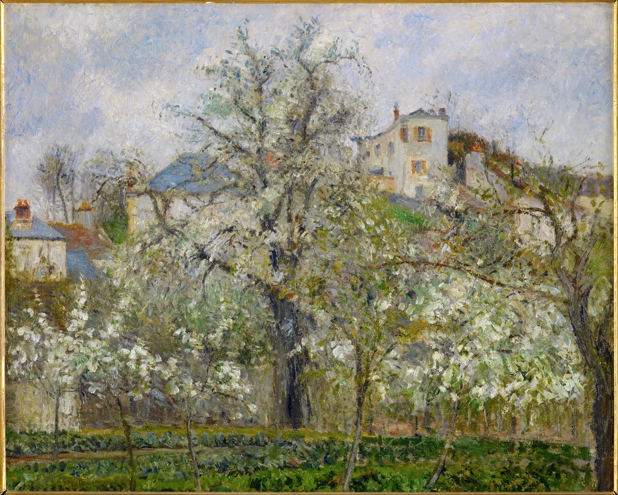 Vår, pæreblomster (olje på lerret) av Camille Pissarro
