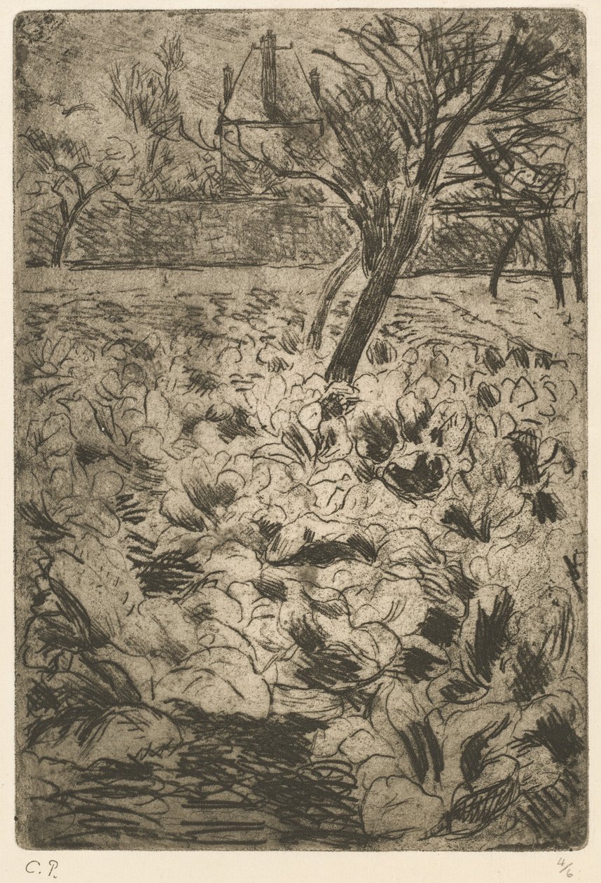 Kålmarken av Camille Pissarro