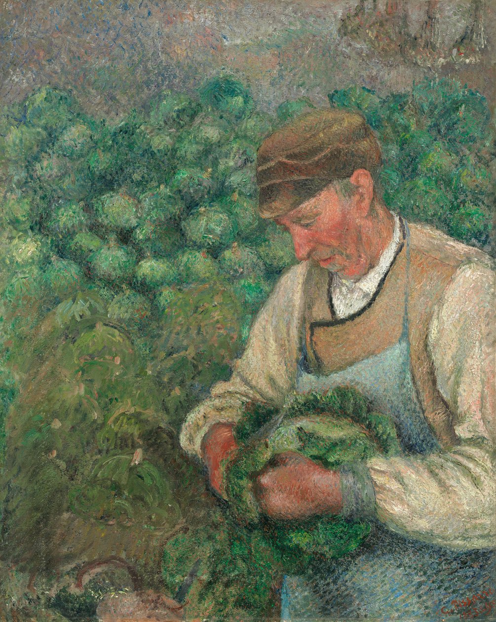 Gartneren - Gammel bonde med kål, 1883-1895. av Camille Pissarro