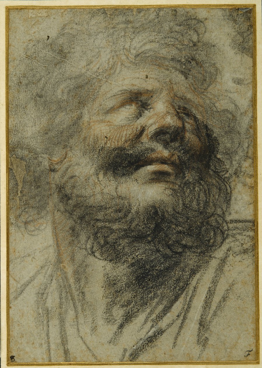 Hodet til en skjeggete mann, ser opp til høyre (svart og rødt kritt på grått papir) av Camillo Procaccini