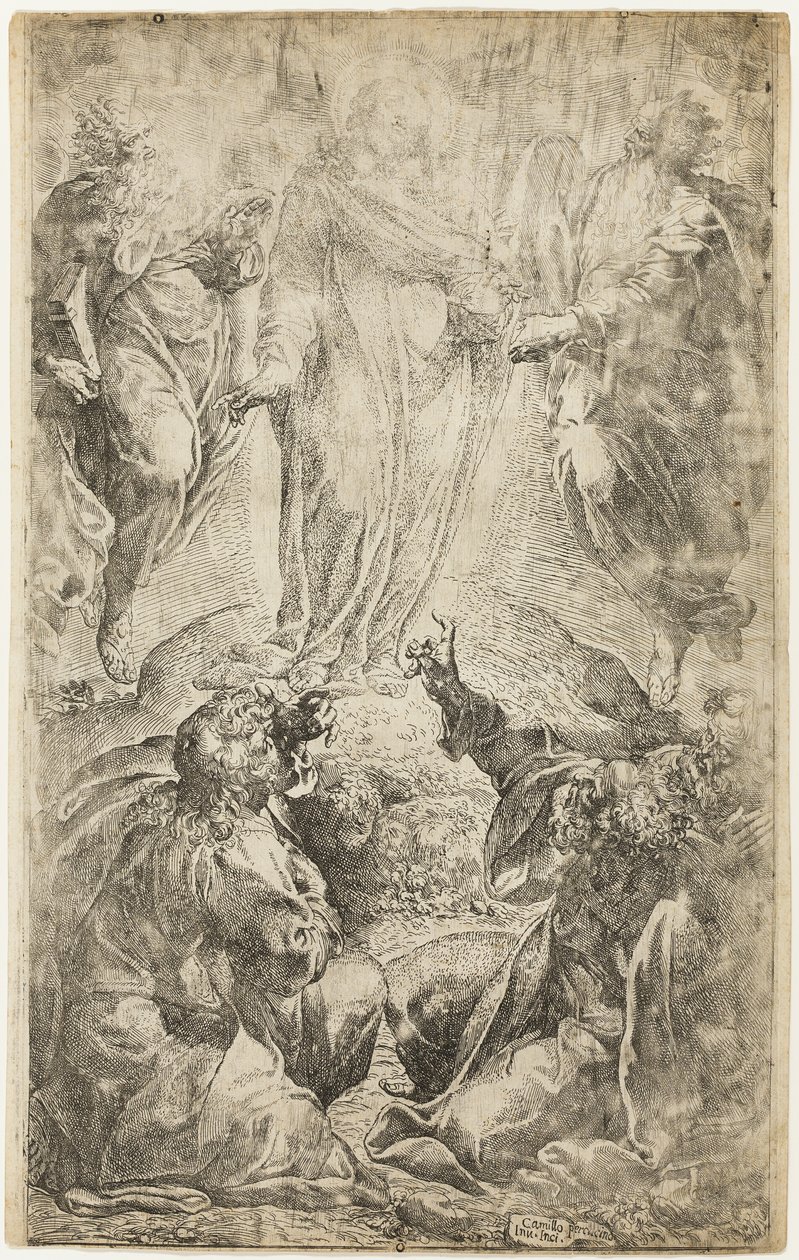 Forvandlingen av Camillo Procaccini