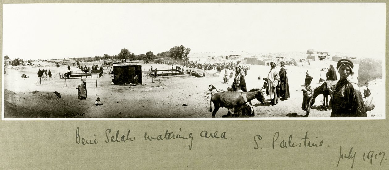 Beni Saleh vanningsområde, juli 1917 av Capt. Arthur Rhodes