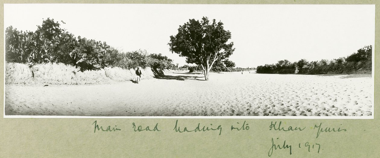 Hovedveien som fører inn til Khan Yunis, juli 1917 av Capt. Arthur Rhodes