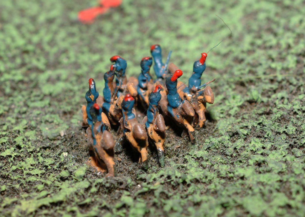 Diorama fra slaget ved Waterloo som viser tropper plassert kl. 19.45 den 18. juni 1815 (blandet media) (detaljer) av Capt. William Siborne