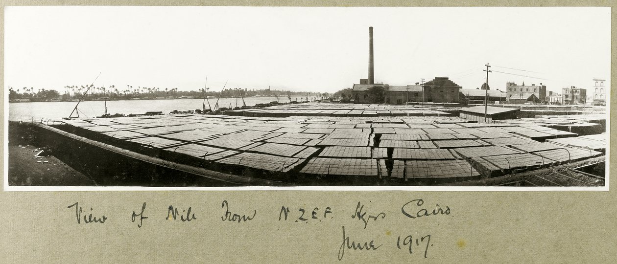 Utsikt over Nilen fra N.Z.M.F.A. Hovedkvarter, Kairo, juni 1917 av Capt. Arthur Rhodes