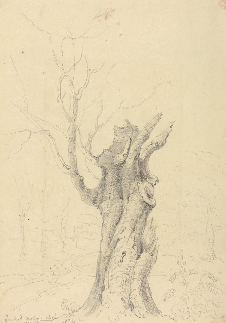 I Lord Yarborough's Park, Appuldurcombe, Isle of Wight av Capt. Thomas Hastings