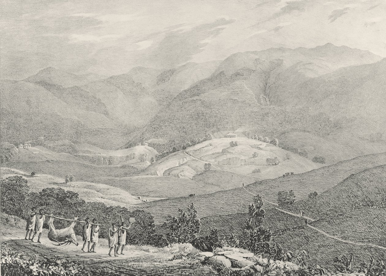 Ottacamund, View of the Great Dodabetta, Neelgherry Mountains, plate 4 fra 