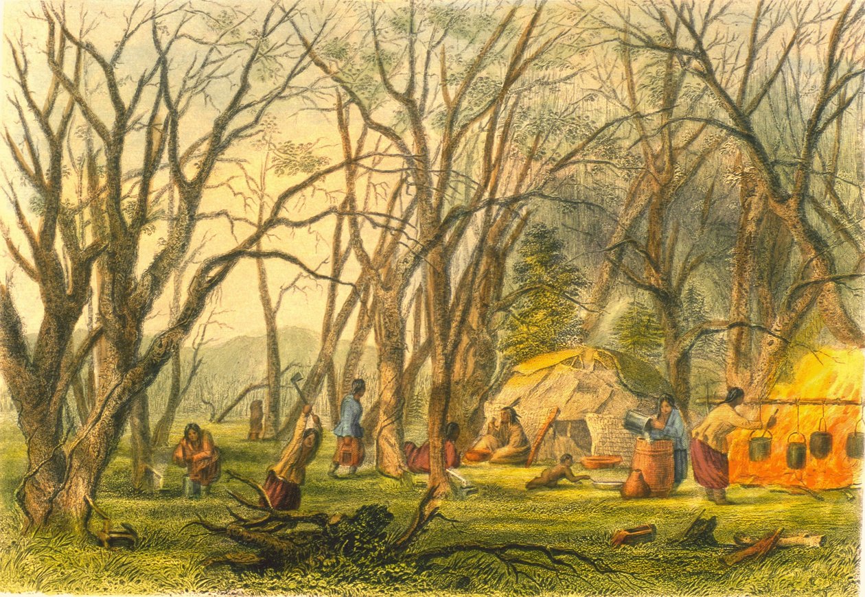 Indisk sukkerleir, 1853 av Captain Seth Eastman