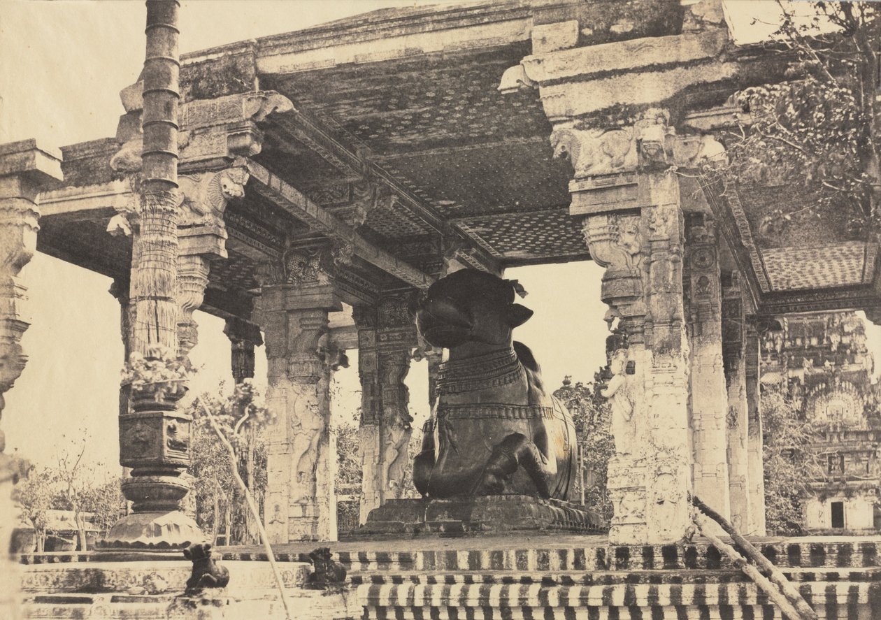 Great Pagoda, Great Bull, Front View, Tanjore, India Rajarajesvara Temple, 1857. av Captain Linnaeus Tripe