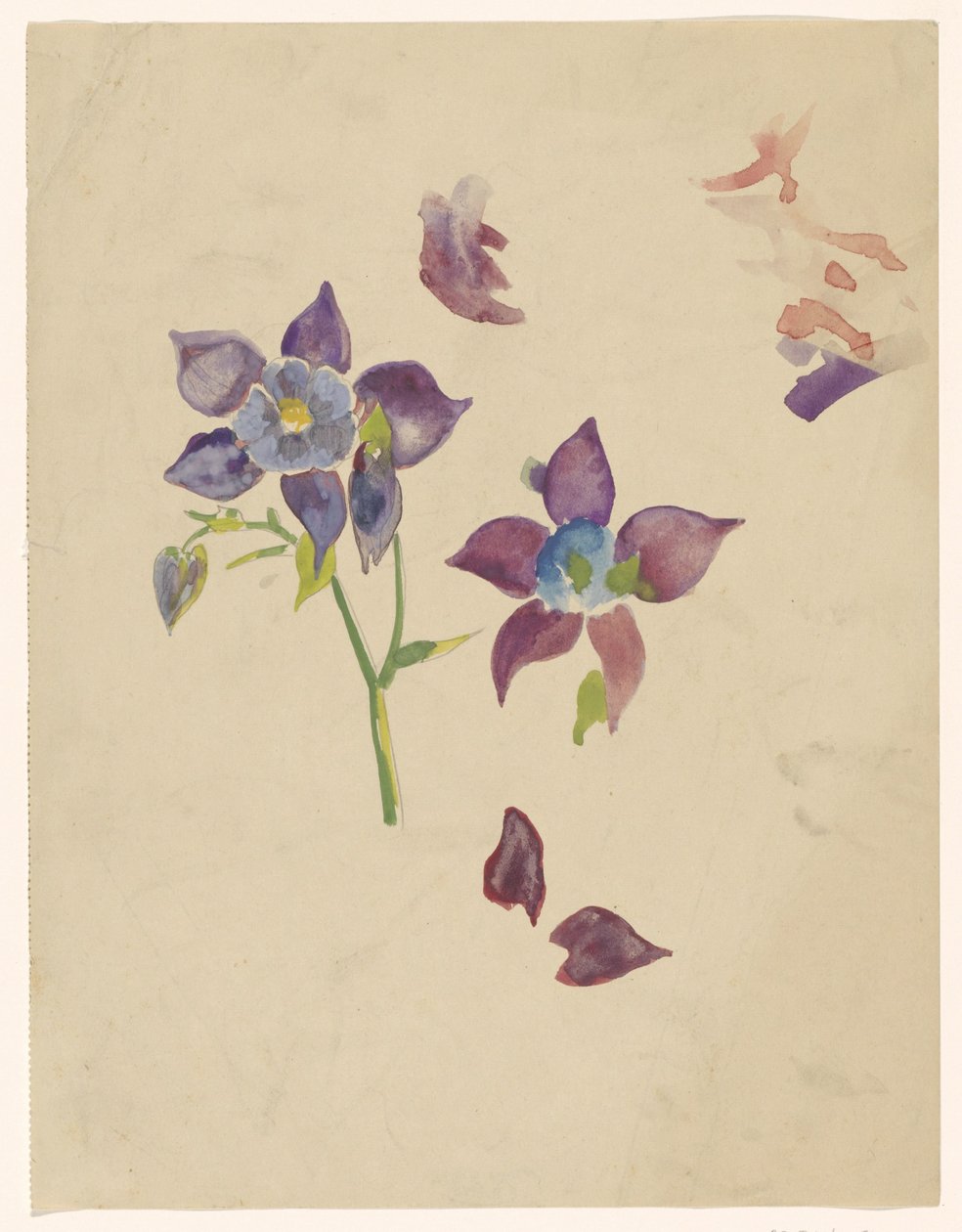 blomsterstudie av Carel Adolph Lion Cachet