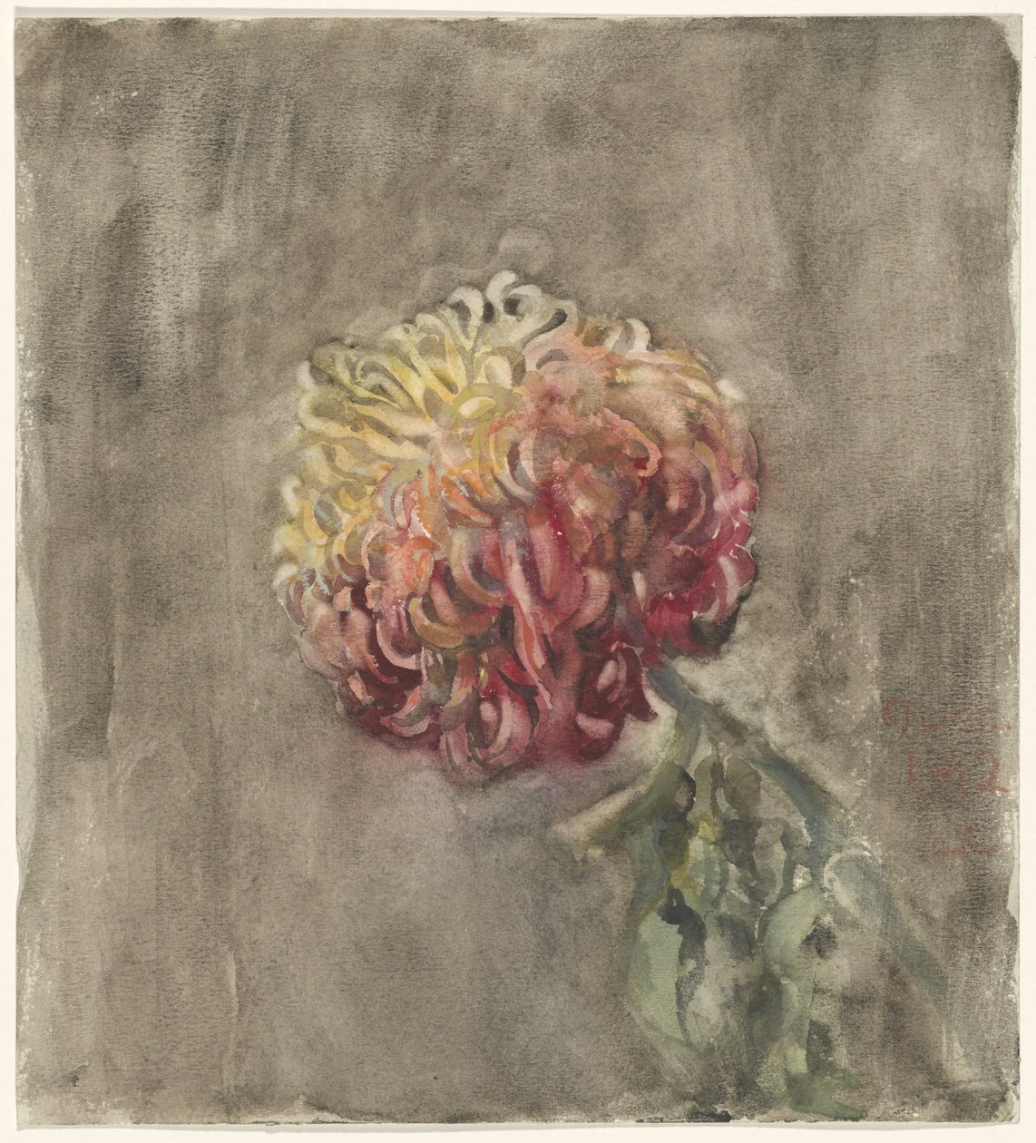 rød krysantemum av Carel Adolph Lion Cachet
