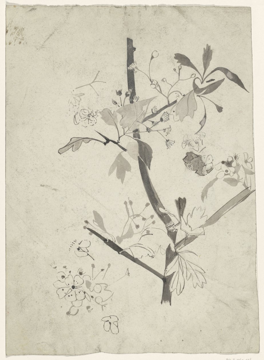 Gren med blomst av Carel Adolph Lion Cachet