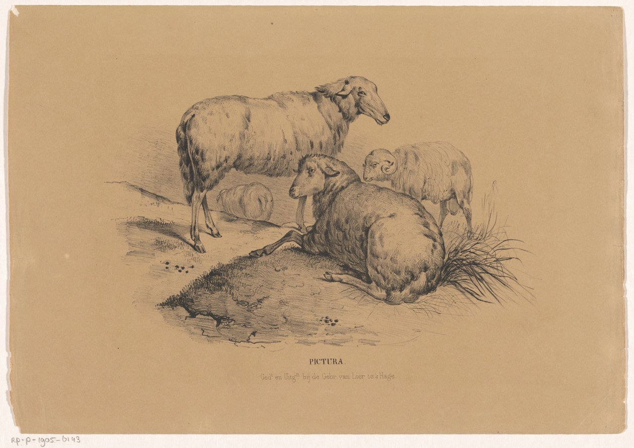 Fire sauer Pictura (serietittel på objekt) av Carel Christiaan Antony Last