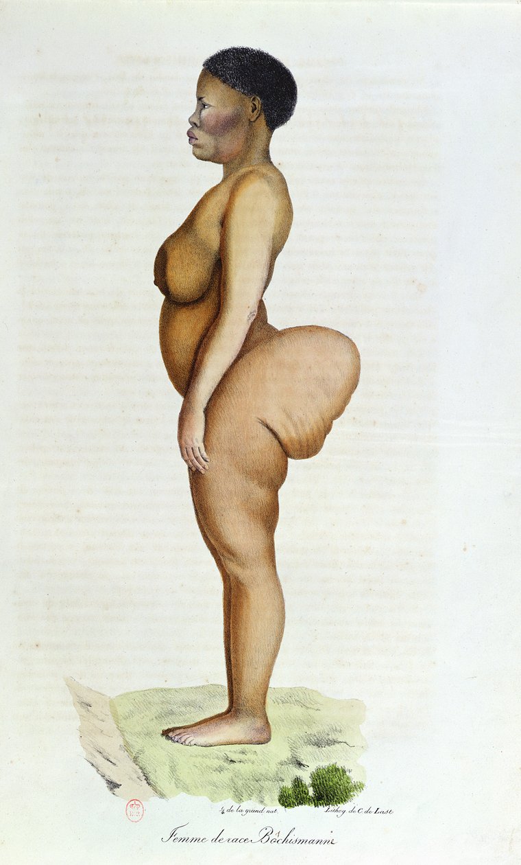 The Hottentot Venus, Bushman woman, fra 