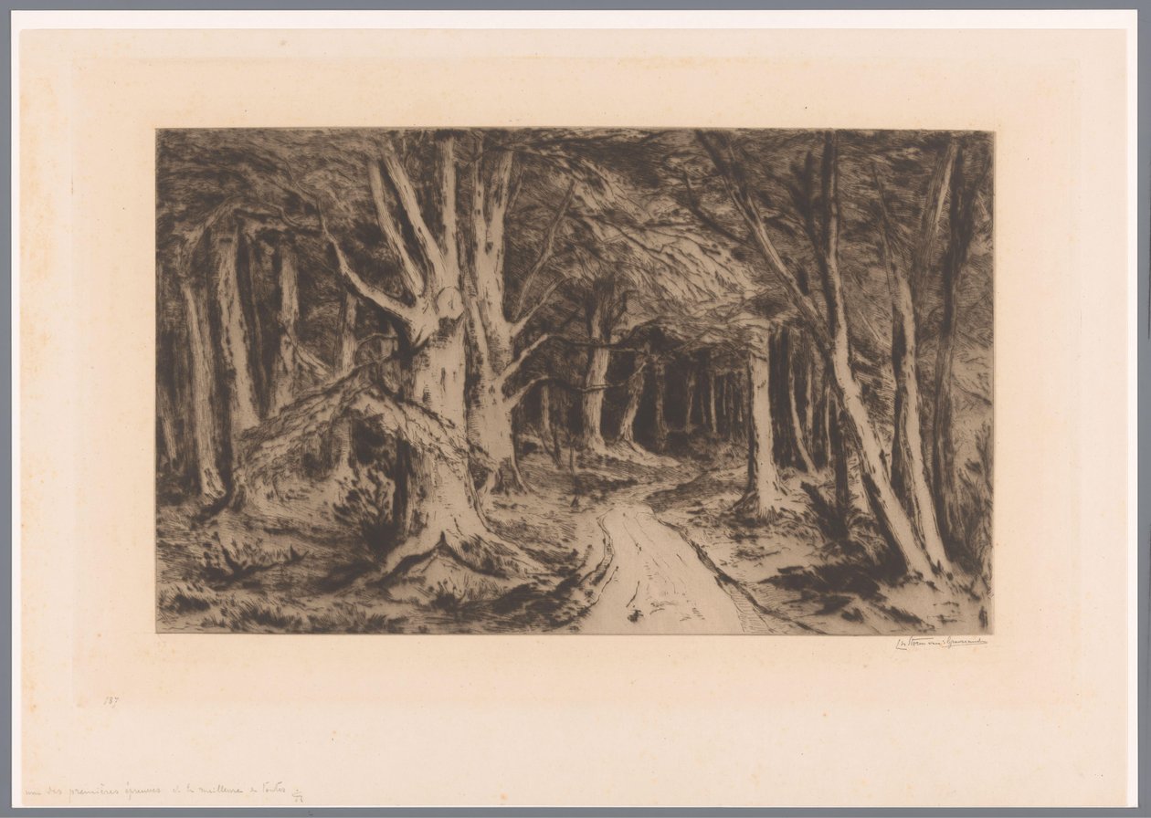 Skogkant med skogssti Inngang til skogen (original tittel) av Carel Nicolaas Storm van 