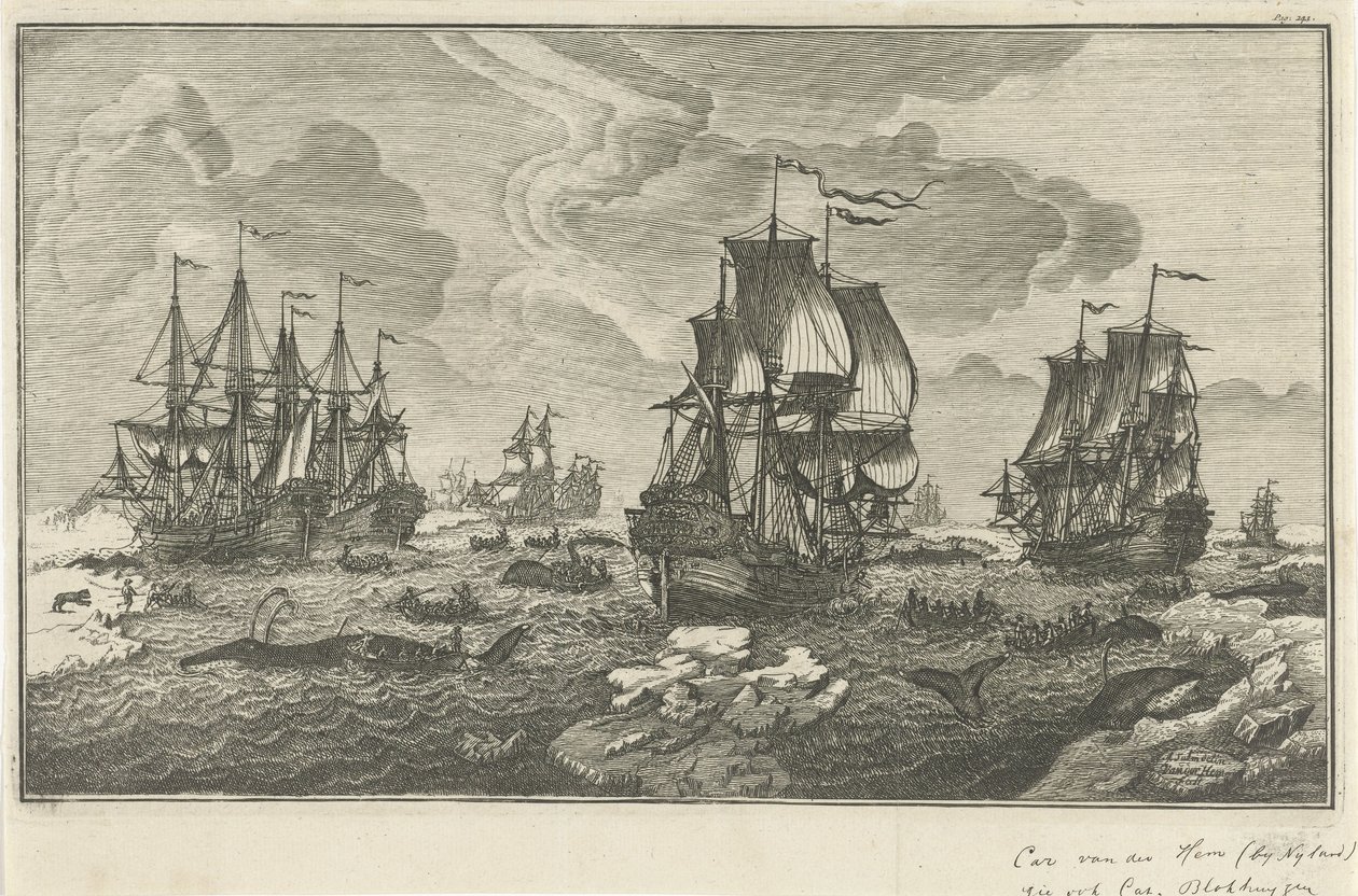 hvaljegere av Carel van der Hem