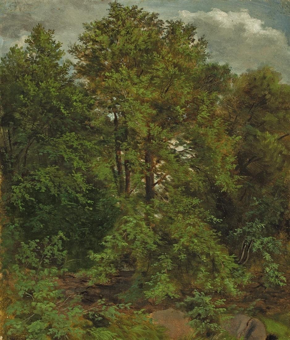 Motiv fra øya Pillnitz Elbe av Carl Gustav Carus