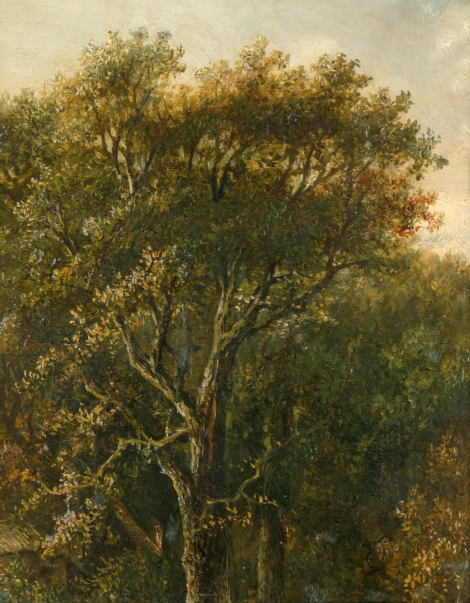 Skogstukk med eiketre av Carl Gustav Carus