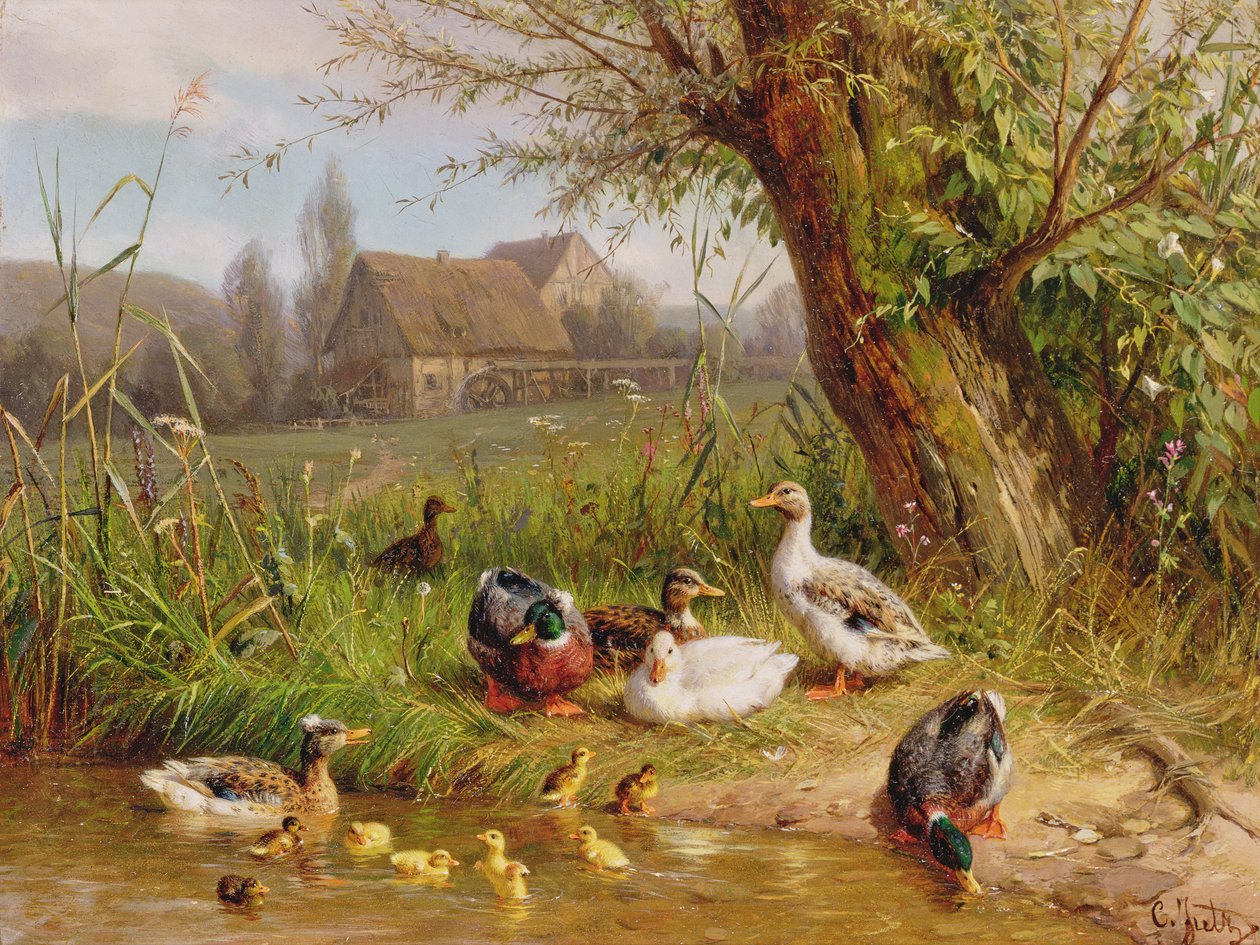 Mallard Ducks med andungene sine av Carl Jutz