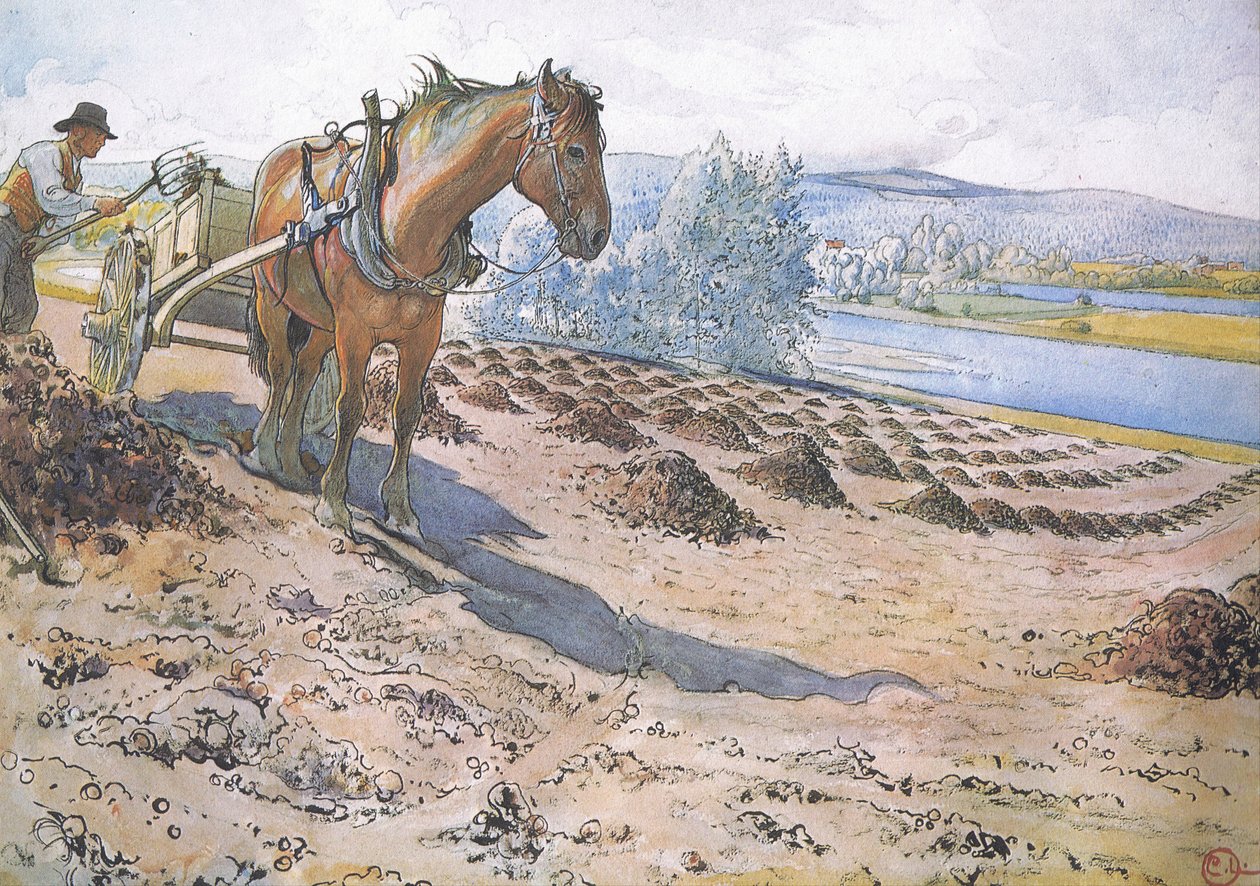 Muck sprer seg på et brakkfelt av Carl Larsson