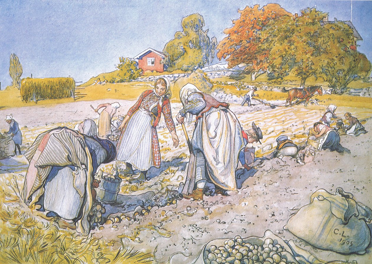 Barna fylte bøtter og kurver med poteter av Carl Larsson