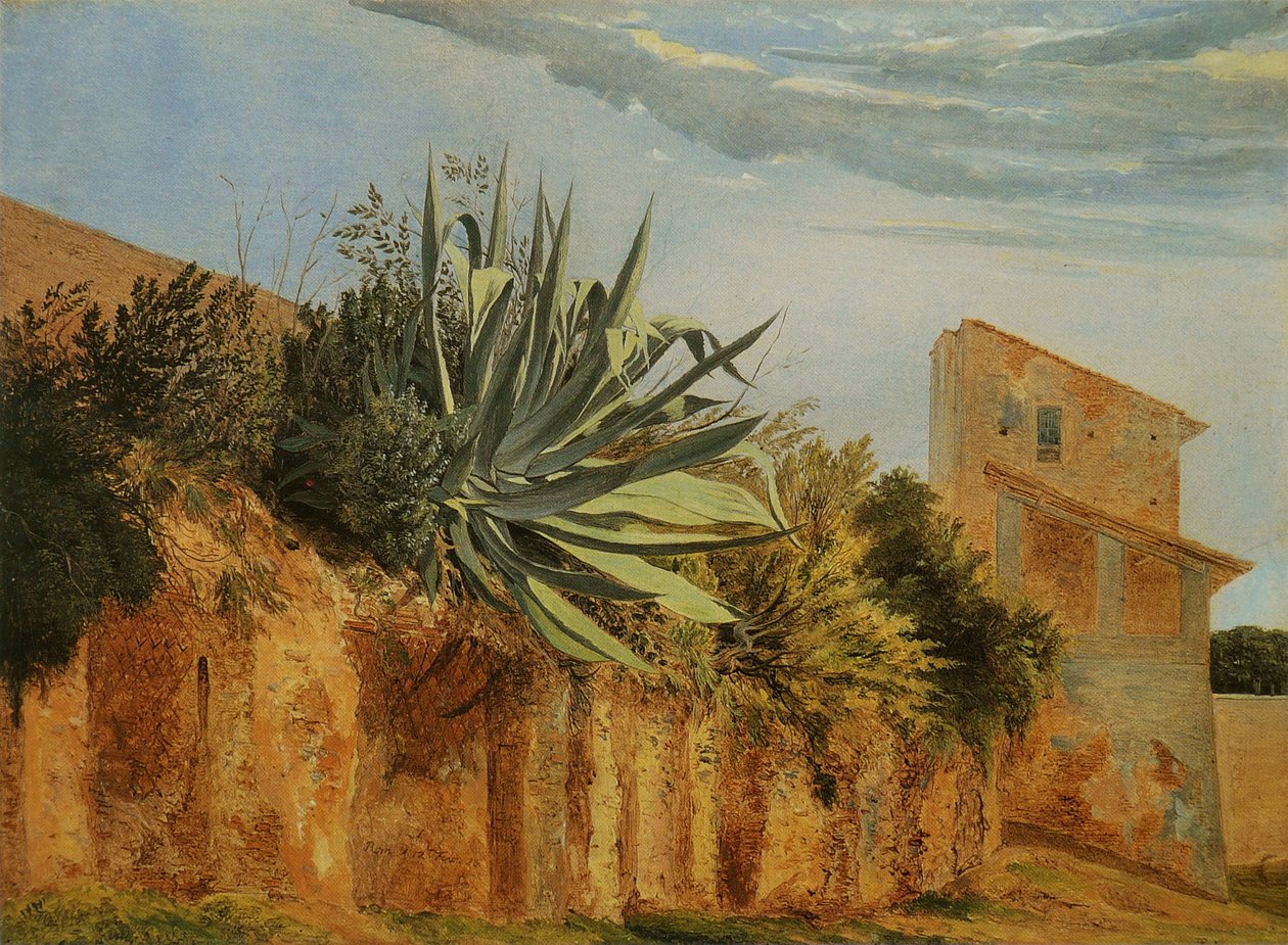 På bymuren i Roma Francais: Agave sur un mur de Romen av Carl Wagner