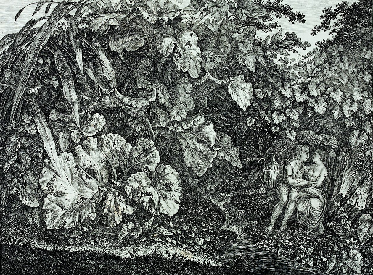 Elskere i en grotte, omgitt av planter og urter av Carl Wilhelm Kolbe