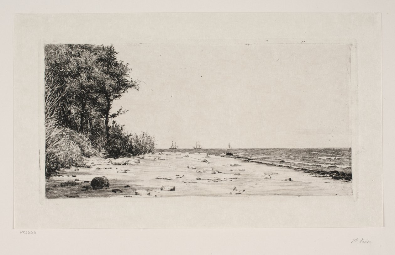 Fra nordkysten av Sjælland. Hornbæk plantasje av Carl Bloch
