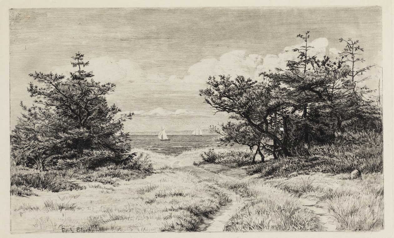 Utsikt til havet av Carl Bloch